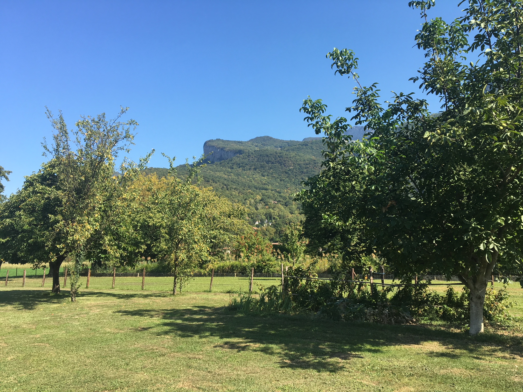 Le Clos Saint-Martin