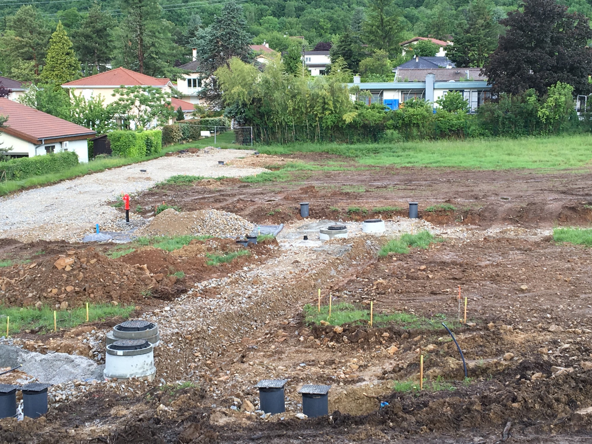 Jardin