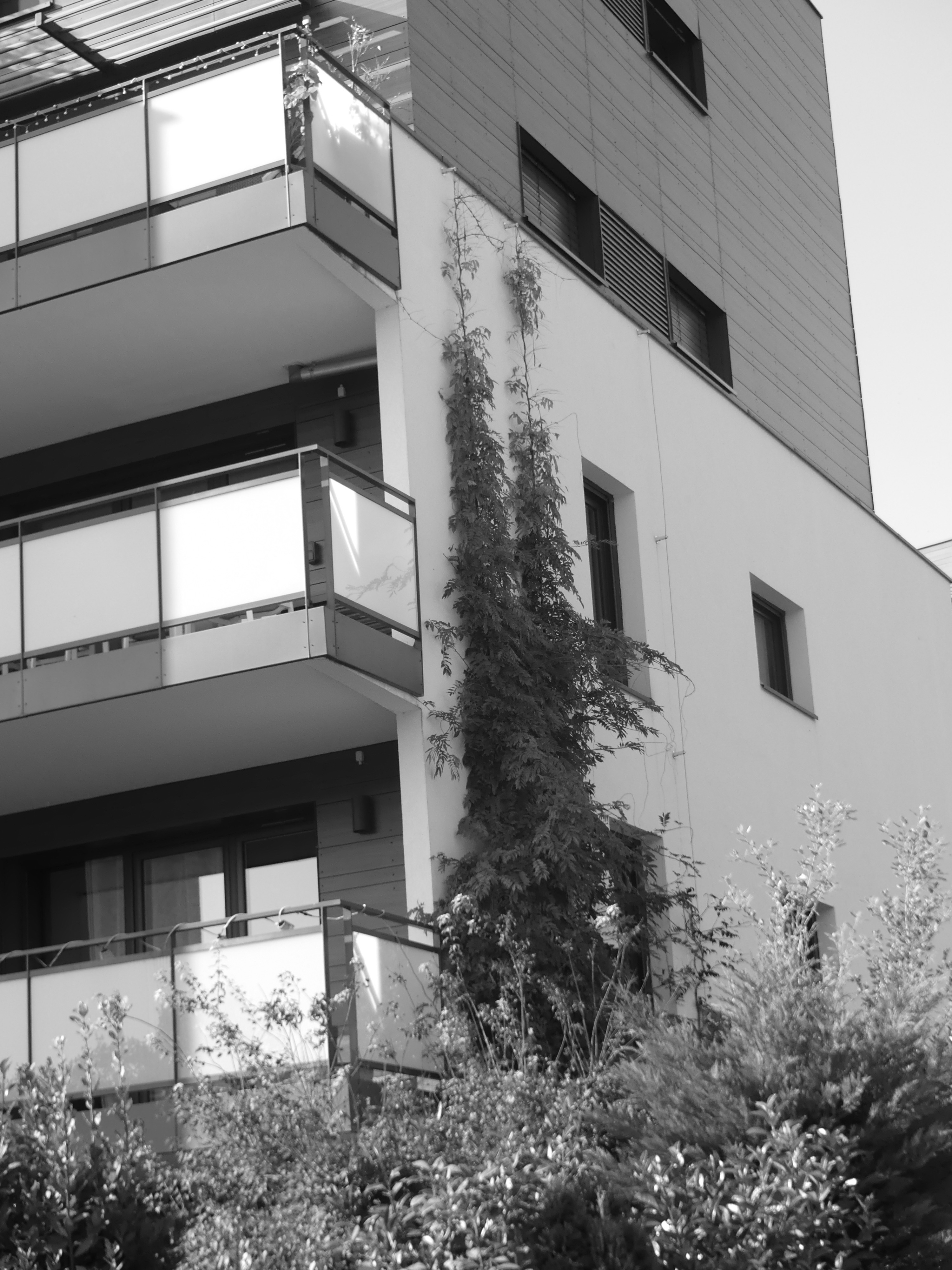 Pignon bâtiment B Le Carré Lumière Meylan