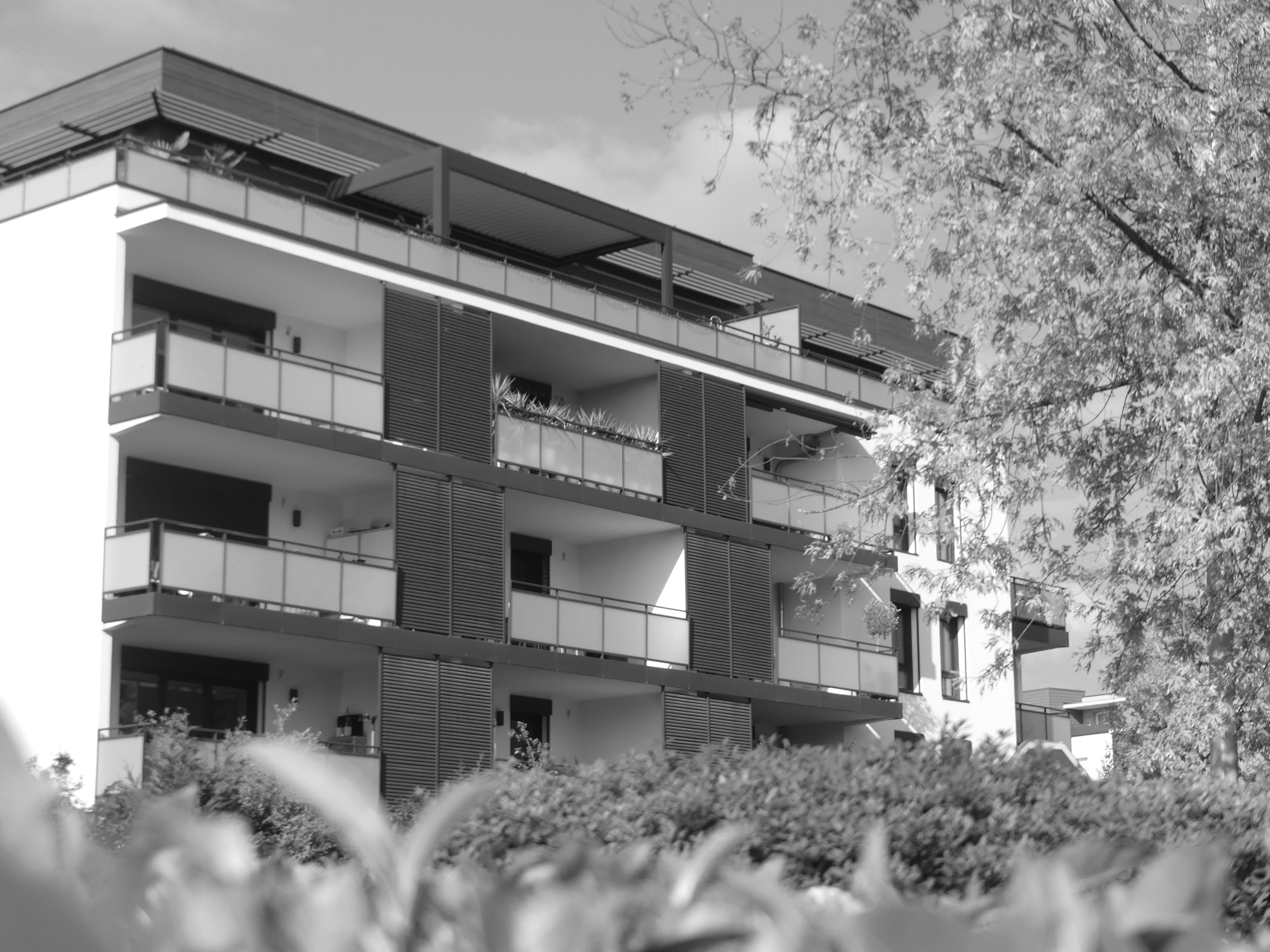 Façade principale bâtiment B Le Carré Lumière Meylan