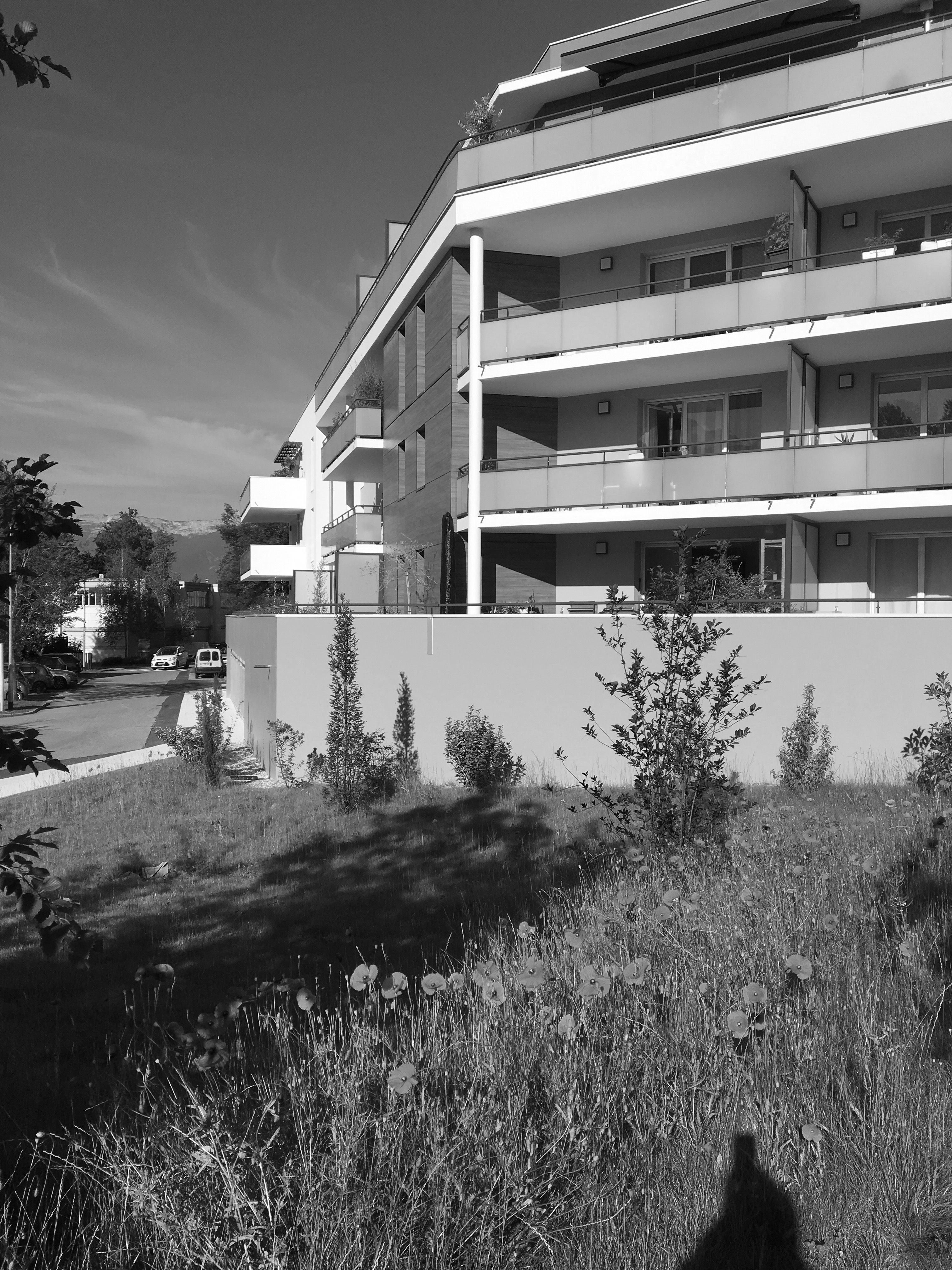 La Canopée façade Est
