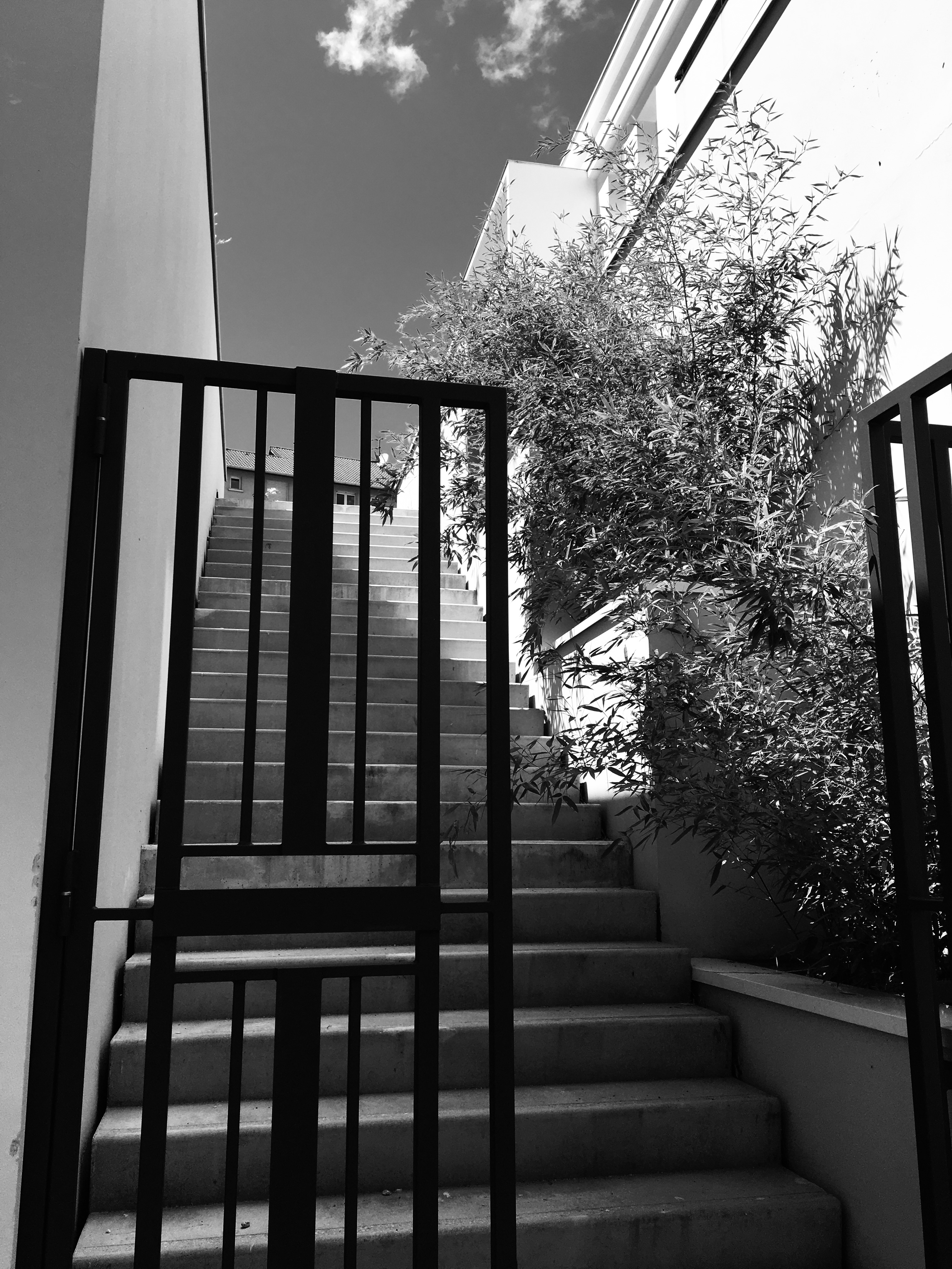 Accès au jardin suspendu