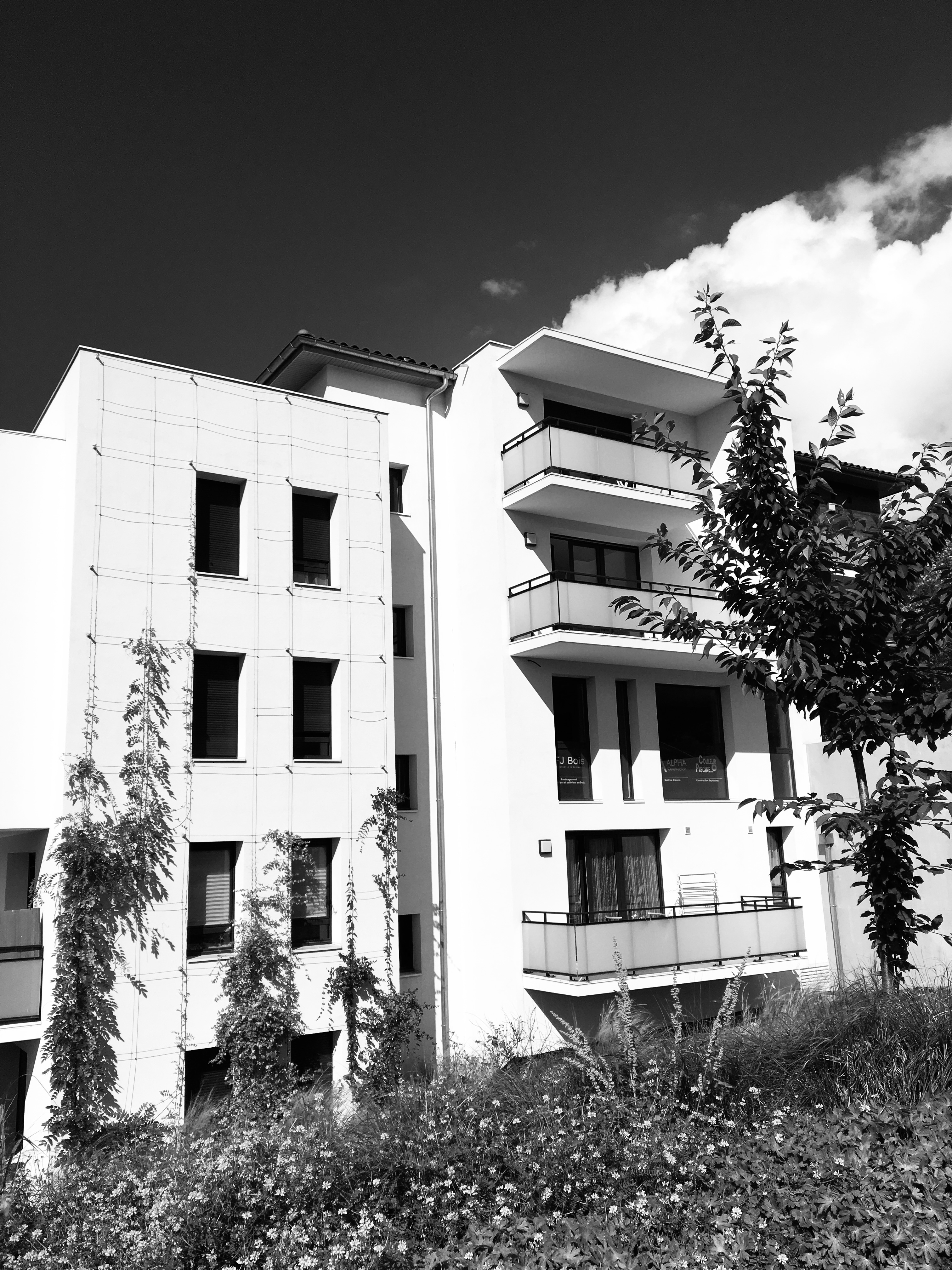 Bâtiment C Façade Est Le Domaine du Rocher Blanc