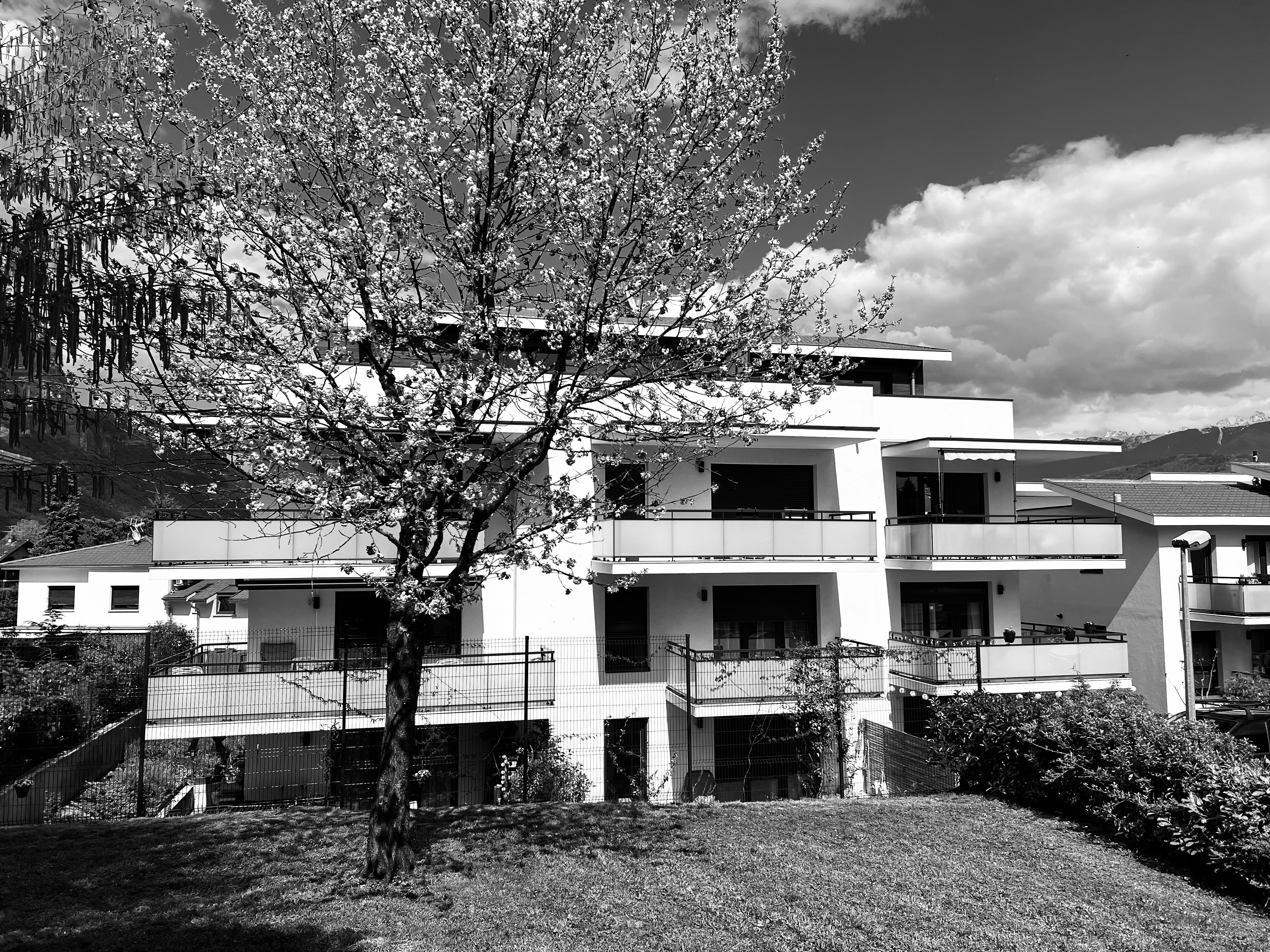 Bâtiment C Les Jardins de Montfort