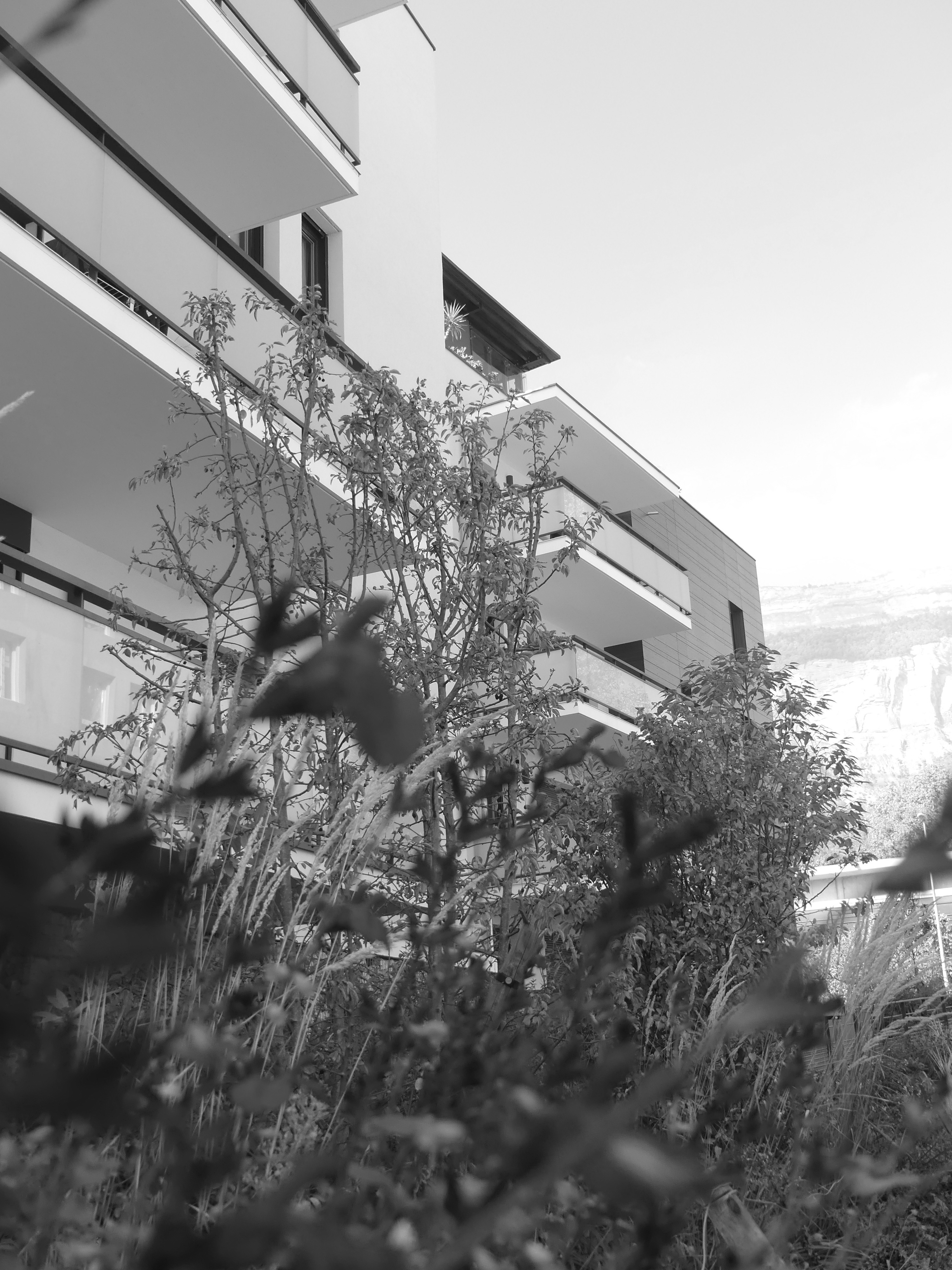 L'Arboretum