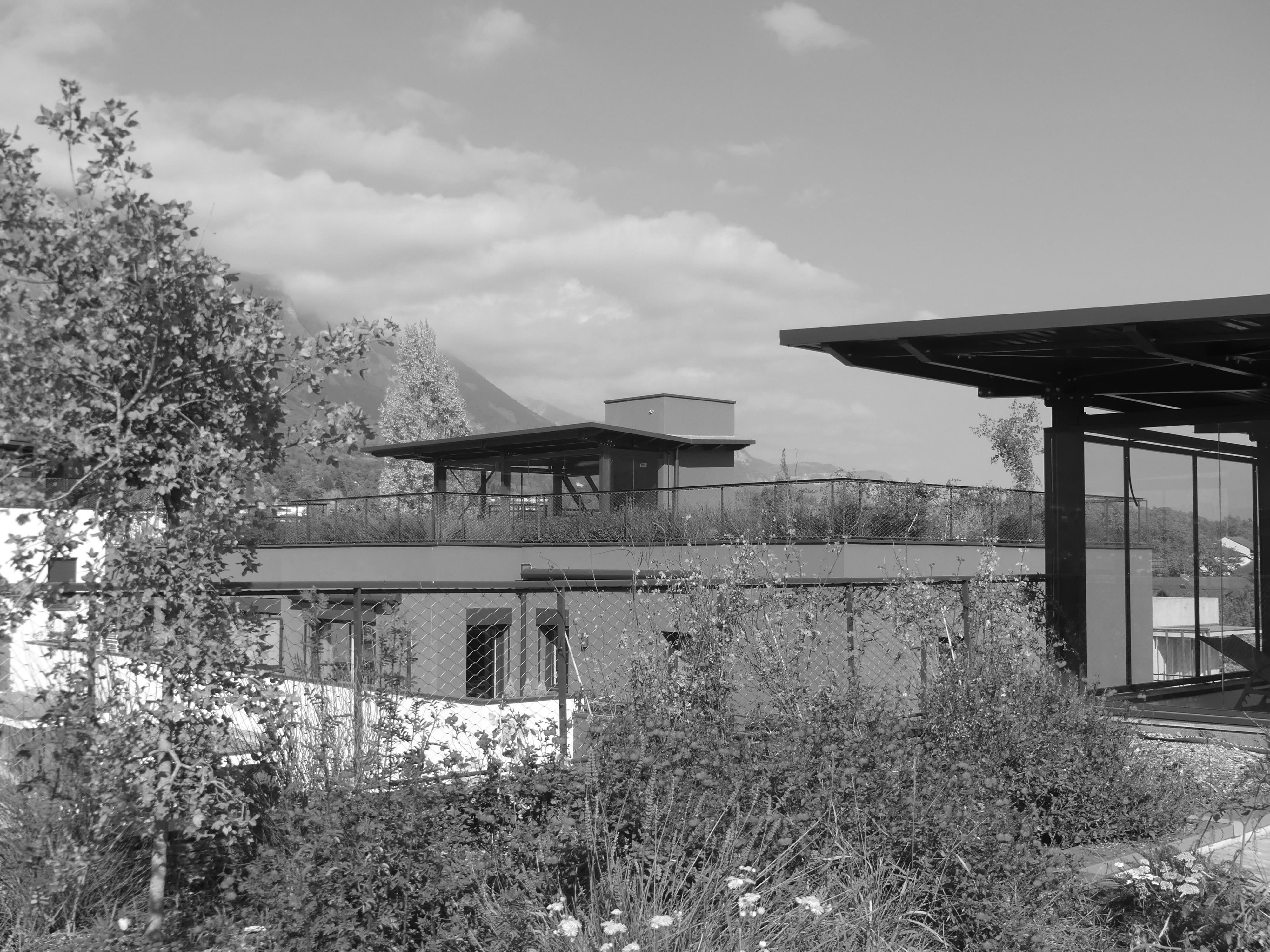 Jardins suspendus l'Arboretum