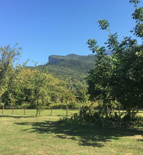 Le Clos Saint-Martin
